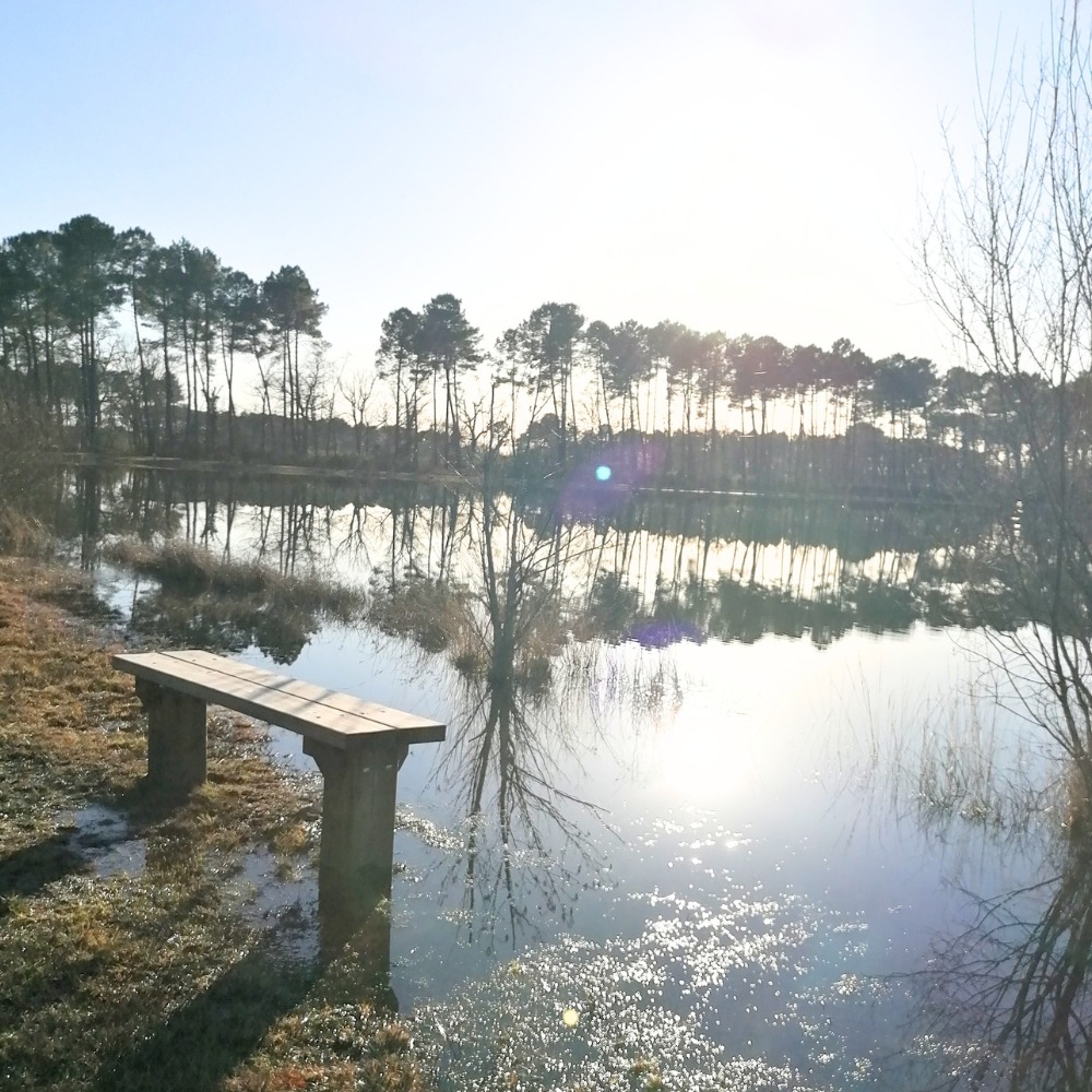 Banc face à un lac